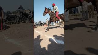 horse racing horse power #horse #racing