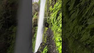 Tunnel Falls In Oregon, USA