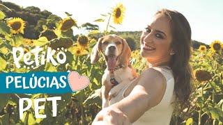 PETIKO: ESPECIAL DIA DAS MÃES (DE PET) ❤️