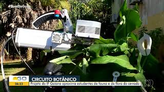 Projeto do IF Goiano de Rio Verde aproxima estudantes de escolas públicas com a natureza