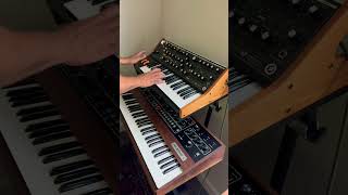 Funky Synth Bass and some Prophet 5 string/brass sounds! ✌🏽