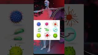 immune system #shorts #viral