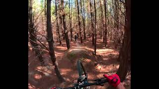 Tuggy Pines flow line 2024