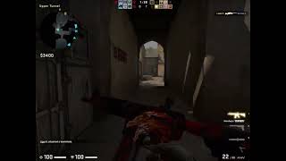 Found a Wild Howl in pub Csgo