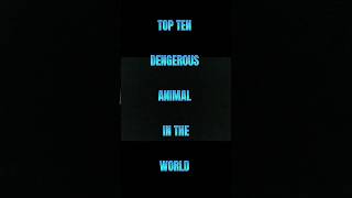 TOP TEN DENGERUS ANIMAL IN THE WORLD 🌎#world #tornado #reels