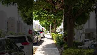 【4K】Walking in Hollywood, Florida 🇺🇸 | USA in 4K #shorts