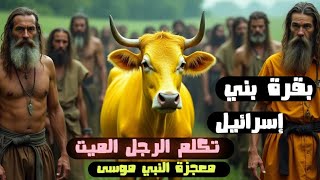 كيف كشف الله القاتل بمعجزة البقرة  الصفراء في عهد موسى عليه السلام؟