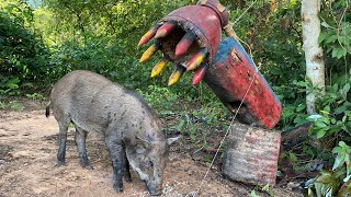 Primitive Technology - Build Wild boar Trap To Catch Wild boar #wildanimals #shorts