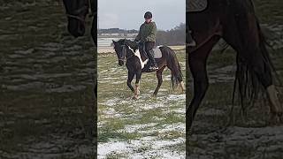 Finally got snow!! ❄️ #horsegirl #christmas #countrymusic  #equestrian