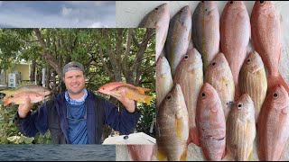 Best Baits for Catching Six types of Snapper off Miami (Vermillion, Yellowtail, Mangrove & MORE)