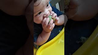 Noah comendo kiwi 🥝 😋