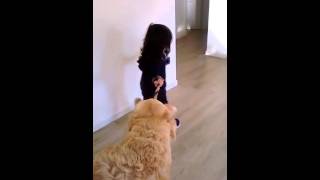 DUE SORELLE l. Kids and pets. #goldenretriever #dogs #bestfriend  #cani #kidsandpets #lovedog