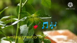 naa sanihake innu  99 movie full song  feeling WhatsApp status this song dedicated to my darling