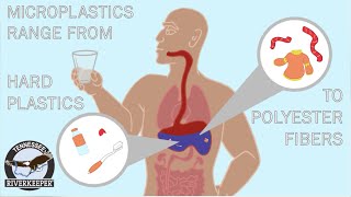 We Drink and Eat Microplastics