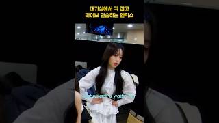 [엔믹스] 라이브 연습도 실전처럼 하는 걸그룹