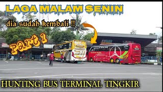 LAGA MALAM SENIN || HUNTING BUS DI TERMINAL TINGKIR SALATIGA ||KEBERANGKATAN SORE || PART 1