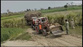 tractor power show competition| belarus tractor traliy