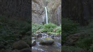 Dry Creek Falls #shorts #waterfall #relaxing