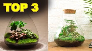 térrarium : TOP 3 des meilleurs terrariums végétal à acheter en 2024