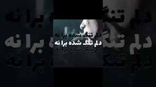 تایپوگرافی دلی شایع و صادق