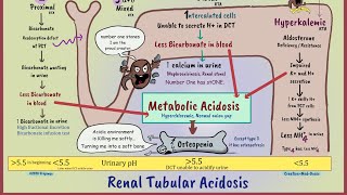 Renal tubular acidosis