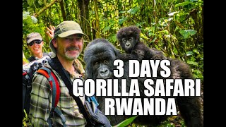 THE PERFECT 3 DAY GORILLA TREK RWANDA #top destinations |THINGS TO DO IN VOLCANOES NATIONAL PARK