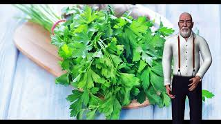 10 Powerful Health Benefits of Parsley