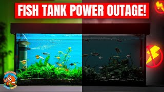 How to Handle a Fish Tank Power Outage ⚡ (Must Watch for Fish Owners!)