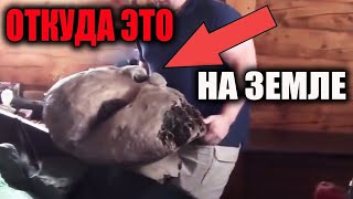 Откуда ЭТО на ЗЕМЛЕ! Наука ЭТО искажает ИЛИ что-то скрывает!? Док спецпроект