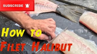 How to Filet a Fish with @Harvest_time #spearfishing #fishing #food #cooking #halibut