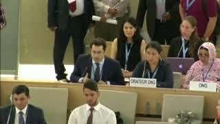 UN Human Rights Council: Violence Against Women. Israel at Fault for Palestinian Domestic Violence.