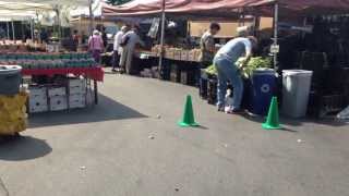 Farmers Market One