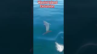 Wasini Excursion Tour