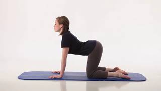 Module 1 -  Low Back: Maintaining a Healthy Spine