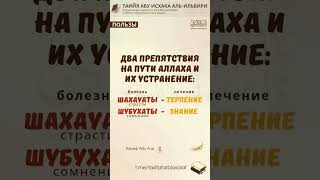 Два препятствия на пути Аллаха и их лечение | Поэма «Таийя» | Ханиф Абу Али