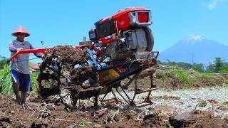 Farmer Using A Tractor Ploughing Paddy Field Turning The Dirt Over