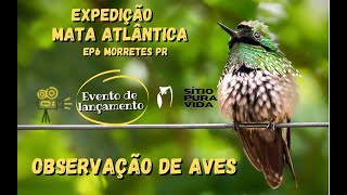 Observação de aves - Expedição Mata Atlântica - Morretes PR - Ep 6