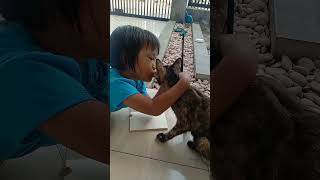 Ketika Kucing menemani seorang Anak kecil belajar#short