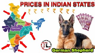 German Shepherd Dog Price Indian States | Telugu