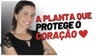 Como a EMBAÚBA pode salvar o coração