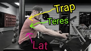 You're thinking too hard: Back Training Simplified for New Lifters