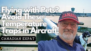 Flying with Pets? Avoid These Temperature Traps in Aircraft!