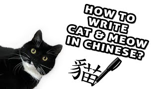 How to write Cat and Meow in Traditional Chinese - Catisfaction