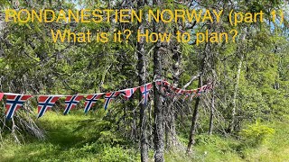 Backpacking in Norway | RONDANESTIEN (part 1 - 220 km) | What is it and how to plan?