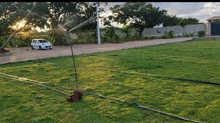 Testando o novo sistema de irrigação do campo Society. Como fazer um campo Society!