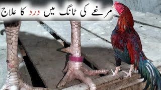 Murge Ki Tang Mein Dard Ka ilaj | Gharelu Totkay