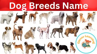 Dog Breeds name and picture in English