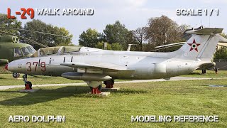 Aero L-29 Dolphin walkaround 2024 HD