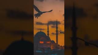 FatihTurkey#reels #shortstrend #viral #youtubeshorts #trending #trendingshorts #viralvideo #youtube