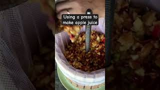 Pressing Apples